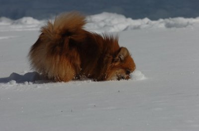 Mar17_07_1315.JPG