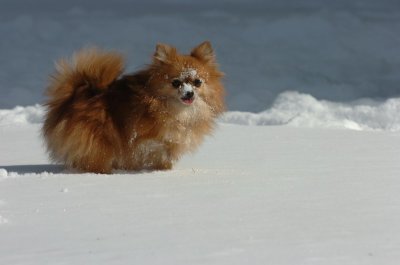 Mar17_07_1318.JPG
