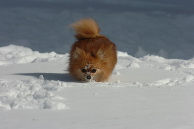 Mar17_07_1319.JPG