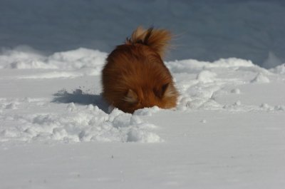 Mar17_07_1320.JPG