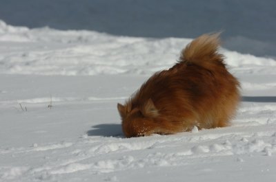 Mar17_07_1321.JPG