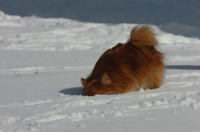 Mar17_07_1322.JPG