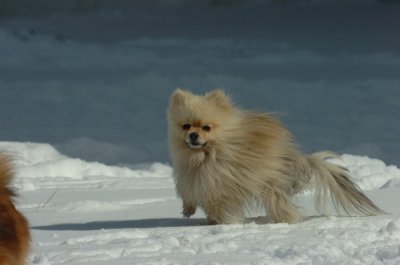 Mar17_07_1323.JPG