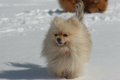 Mar17_07_1324.JPG