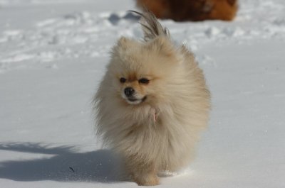 Mar17_07_1325.JPG