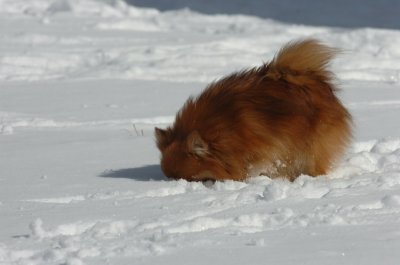 Mar17_07_1326.JPG