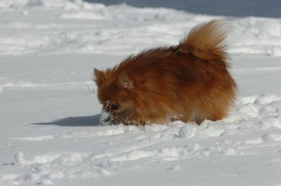 Mar17_07_1327.JPG