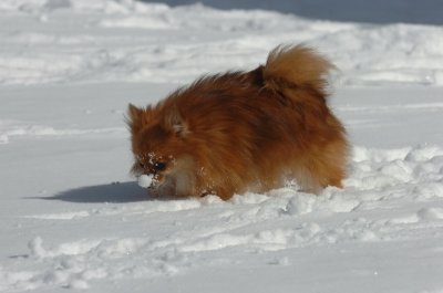 Mar17_07_1328.JPG