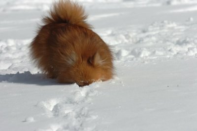 Mar17_07_1330.JPG