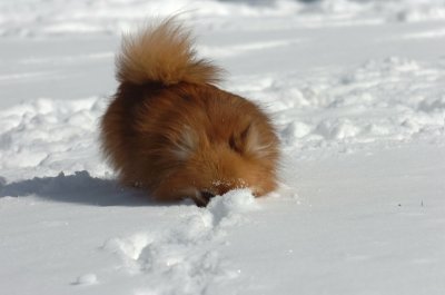 Mar17_07_1331.JPG