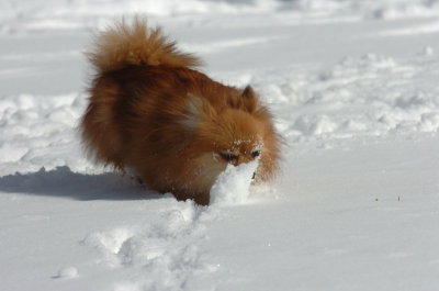 Mar17_07_1332.JPG