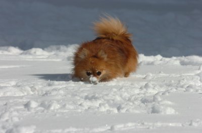 Mar17_07_1333.JPG