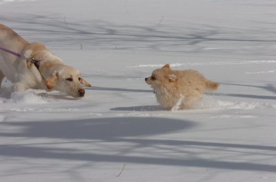 Mar17_07_166.JPG