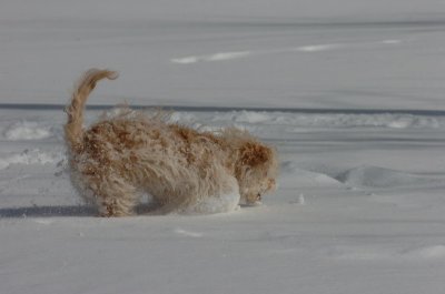 Mar17_07_191.JPG