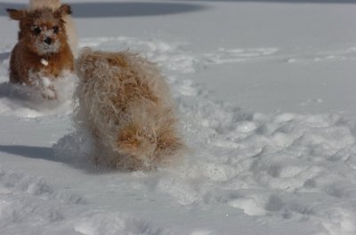 Mar17_07_202.JPG