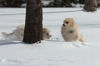 Mar17_07_219.JPG