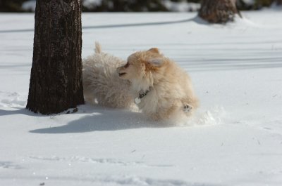 Mar17_07_221.JPG