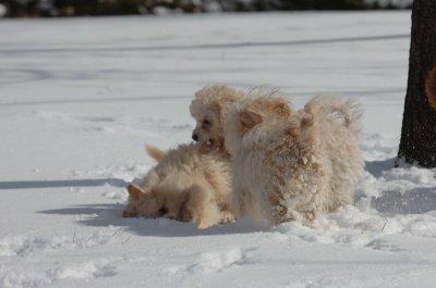 Mar17_07_230.JPG