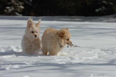 Mar17_07_258.JPG