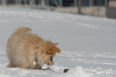 Mar17_07_271.JPG