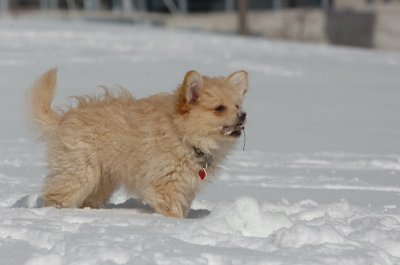 Mar17_07_275.JPG