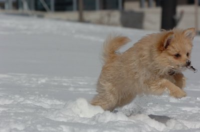 Mar17_07_278.JPG