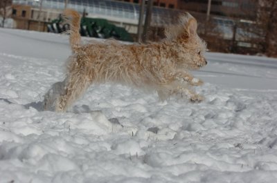 Mar17_07_285.JPG