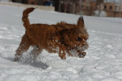 Mar17_07_286.JPG
