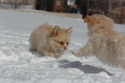Mar17_07_287.JPG