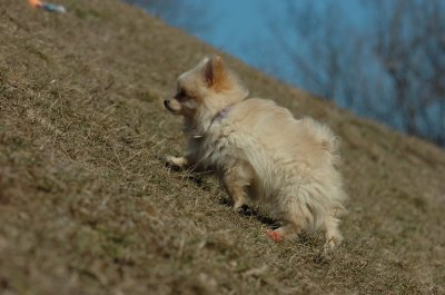 Mar20_07_759.JPG