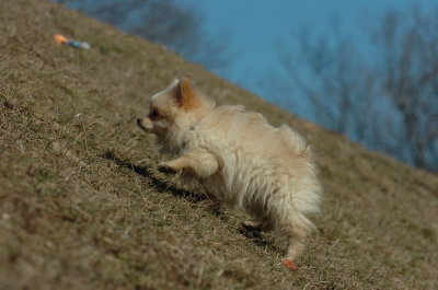 Mar20_07_760.JPG