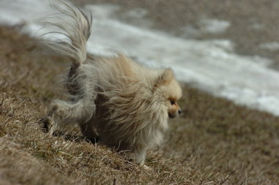Mar20_07_298.JPG