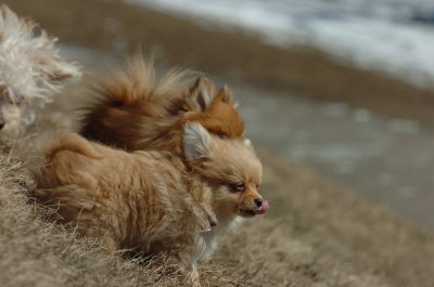 Mar20_07_299.JPG