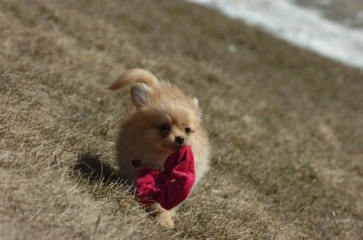 Mar20_07_312.JPG