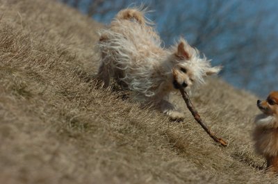 Mar20_07_316.JPG