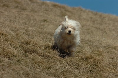 Mar20_07_348.JPG