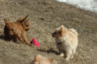 Mar20_07_358.JPG