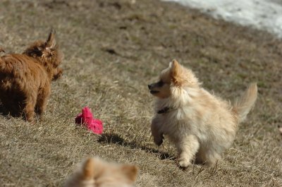 Mar20_07_359.JPG