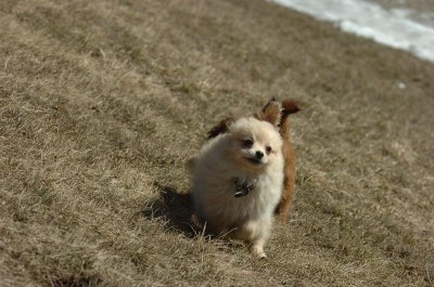 Mar20_07_360.JPG