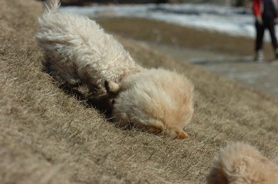 Mar20_07_365.JPG