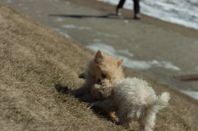 Mar20_07_367.JPG