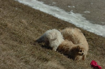 Mar20_07_373.JPG