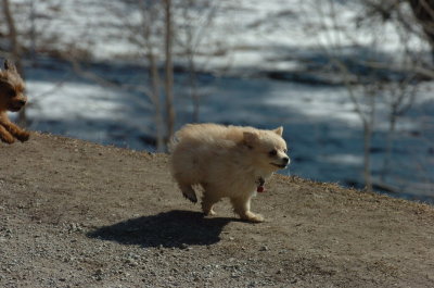 Mar20_07_375.JPG