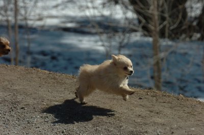 Mar20_07_376.JPG
