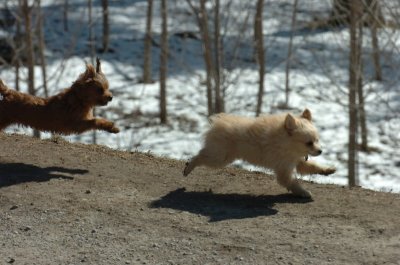 Mar20_07_377.JPG