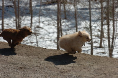 Mar20_07_378.JPG