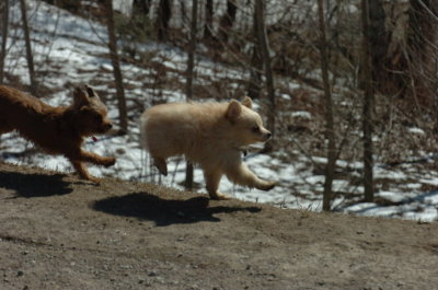 Mar20_07_380.JPG
