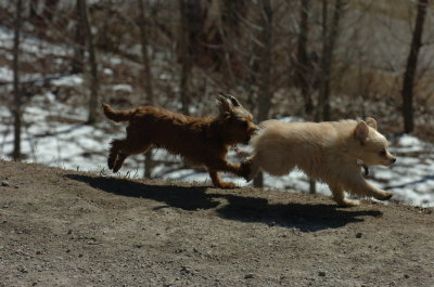 Mar20_07_381.JPG