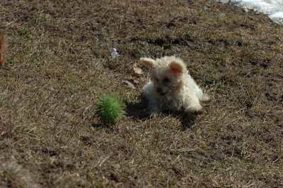 Mar20_07_392.JPG