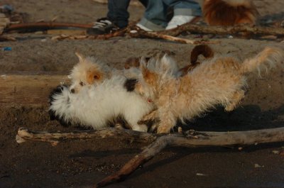 Mar27_07_2518.JPG